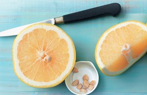 Rastlinné antibiotiká – liečivé a neškodlivé!