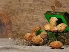 tri oriešky pre popolušku