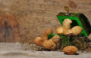 tri oriešky pre popolušku