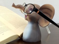 slony jedia mrkvu a nenosia okuliare