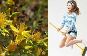 žena s metlou a ľubovník