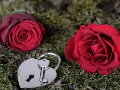 srdiečka, zámok, kľúč